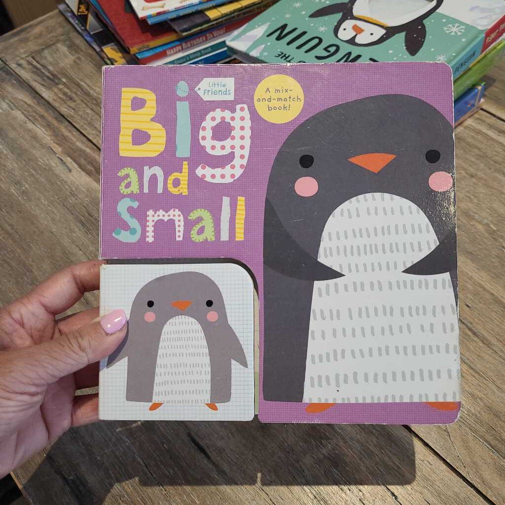Big and Small (mix and match book)