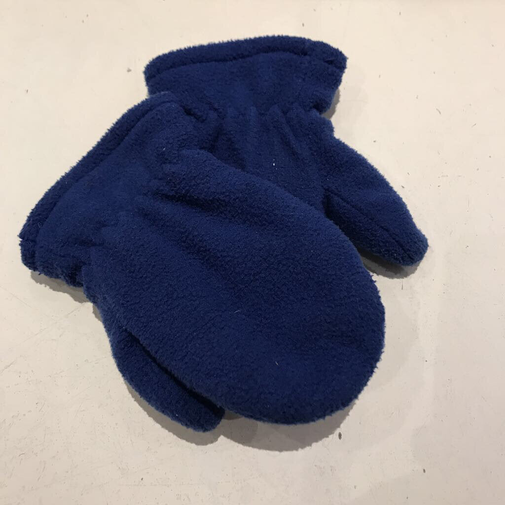 Fleece 2 layer Blue mittens 12-18m